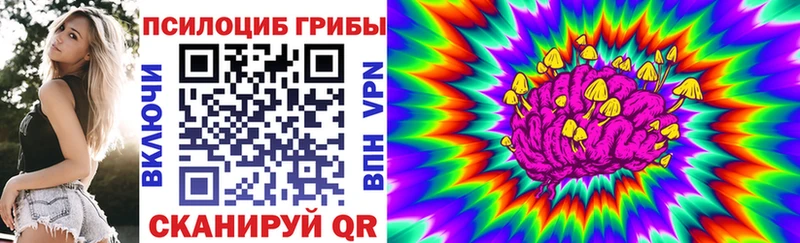 KRAKEN зеркало  Керчь  Псилоцибиновые грибы GOLDEN TEACHER  закладка 