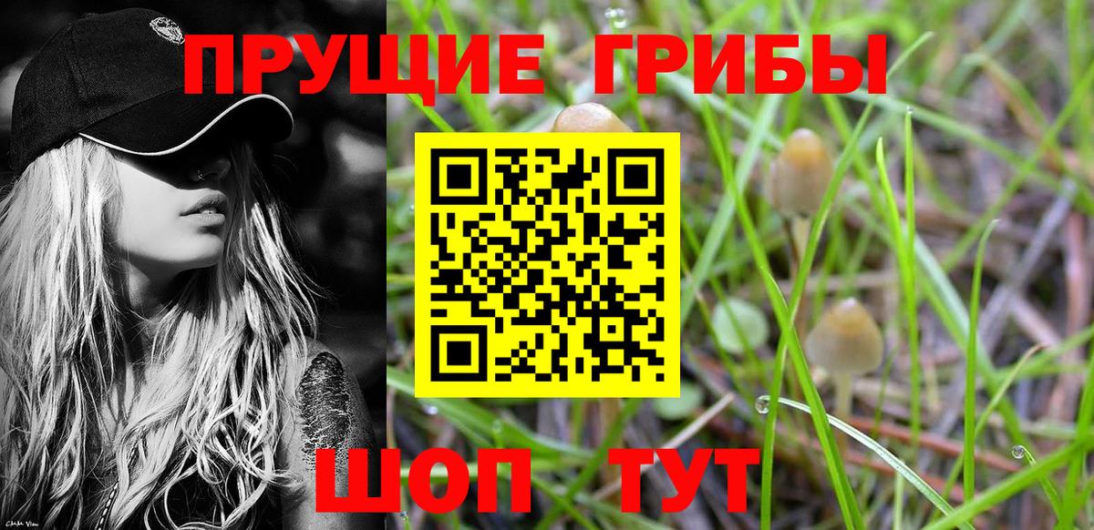 Псилоцибиновые грибы мицелий Керчь